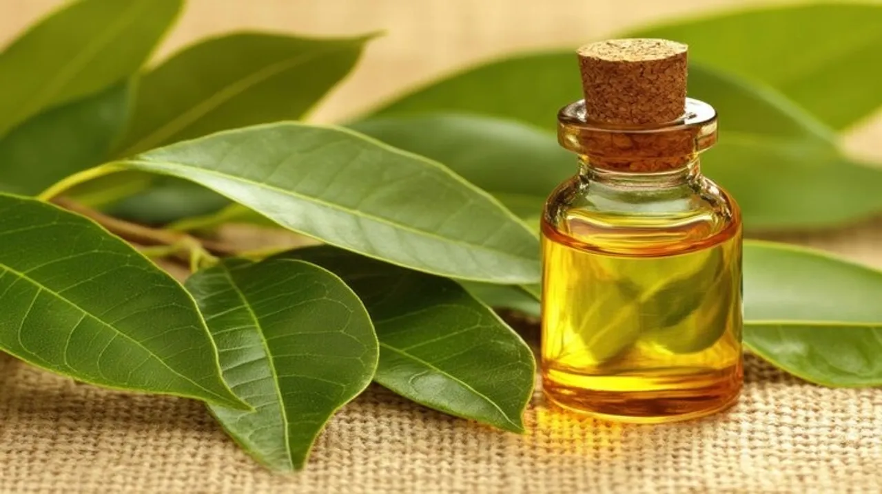 Hair Care Using 10 Natural Oils 