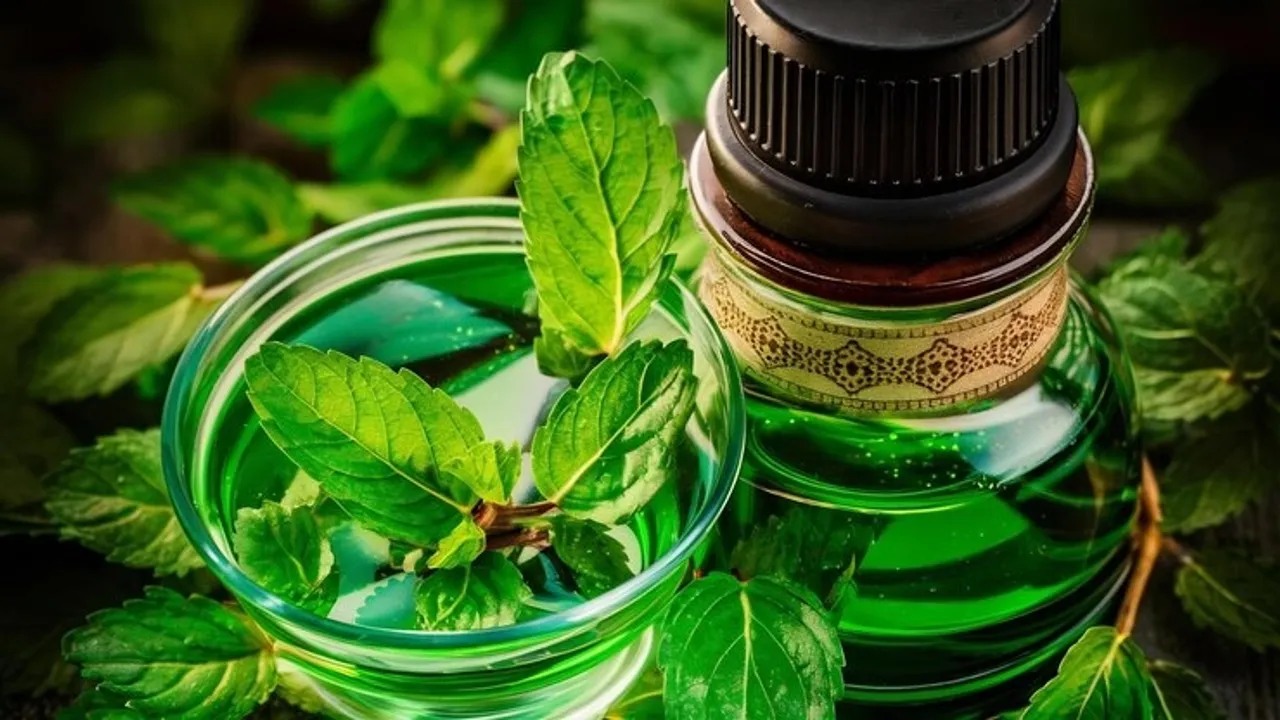 Hair Care Using Tulsi Oil