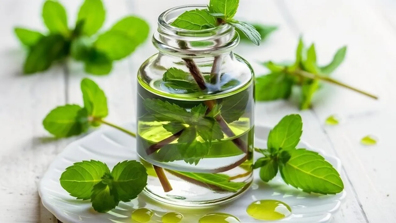 Hair Care Using Tulsi Oil