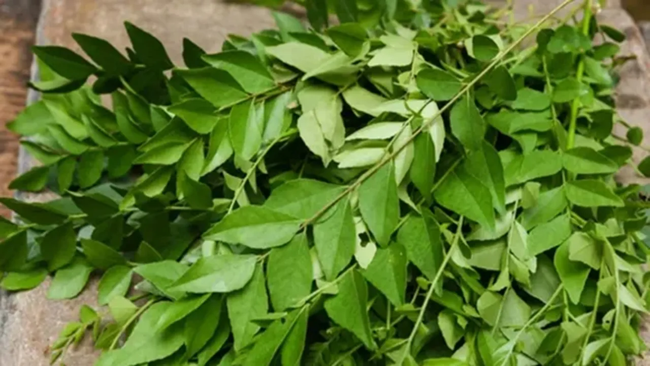 Health Benefits Of Curry leaves