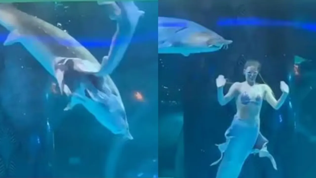 Giant fish attacks woman