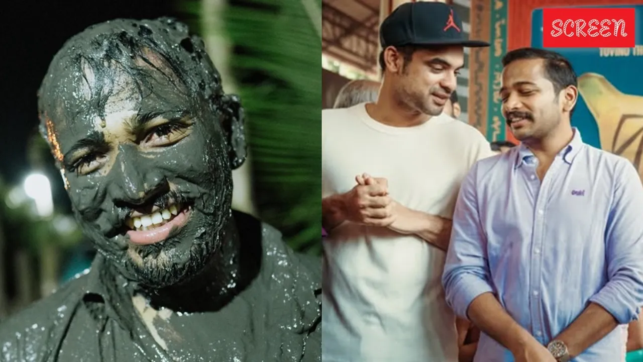 Basil, Tovino