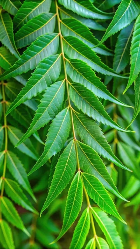 5 Ways To Take Shower To Reduce The Risk Of Skin Infections