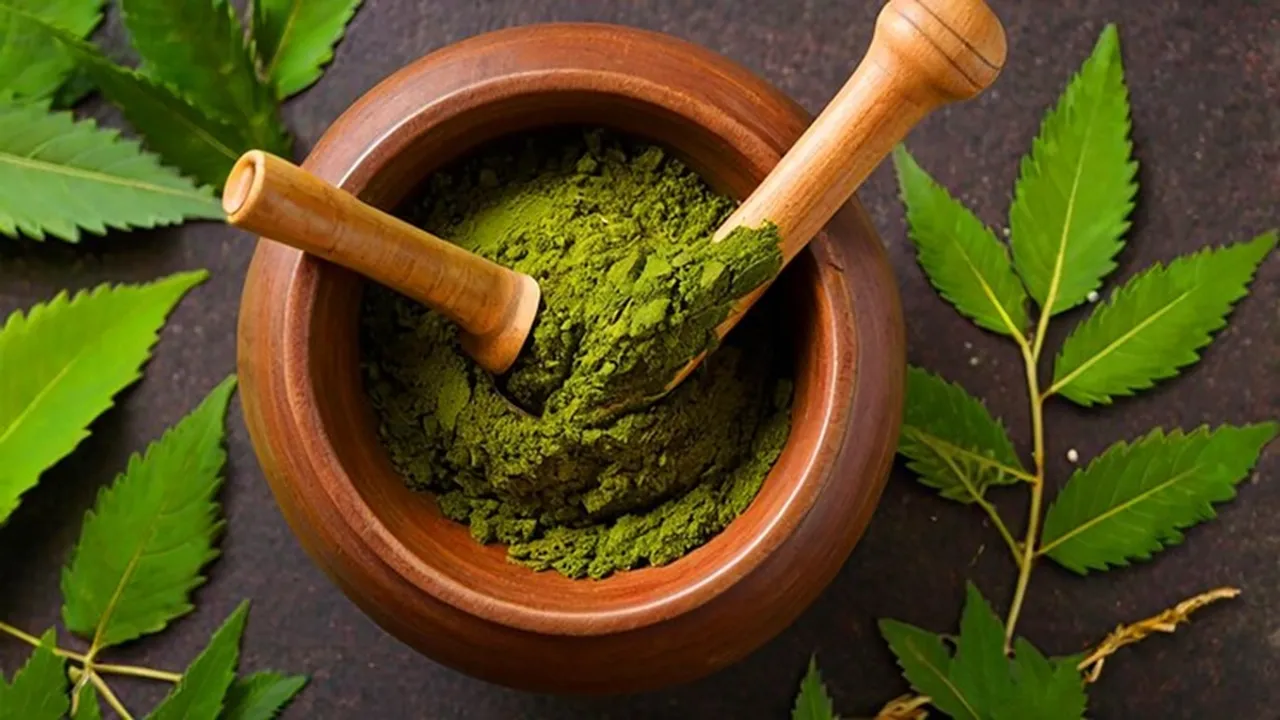 5 Ways To Use Neem Leaves To Reduce Dandruff 