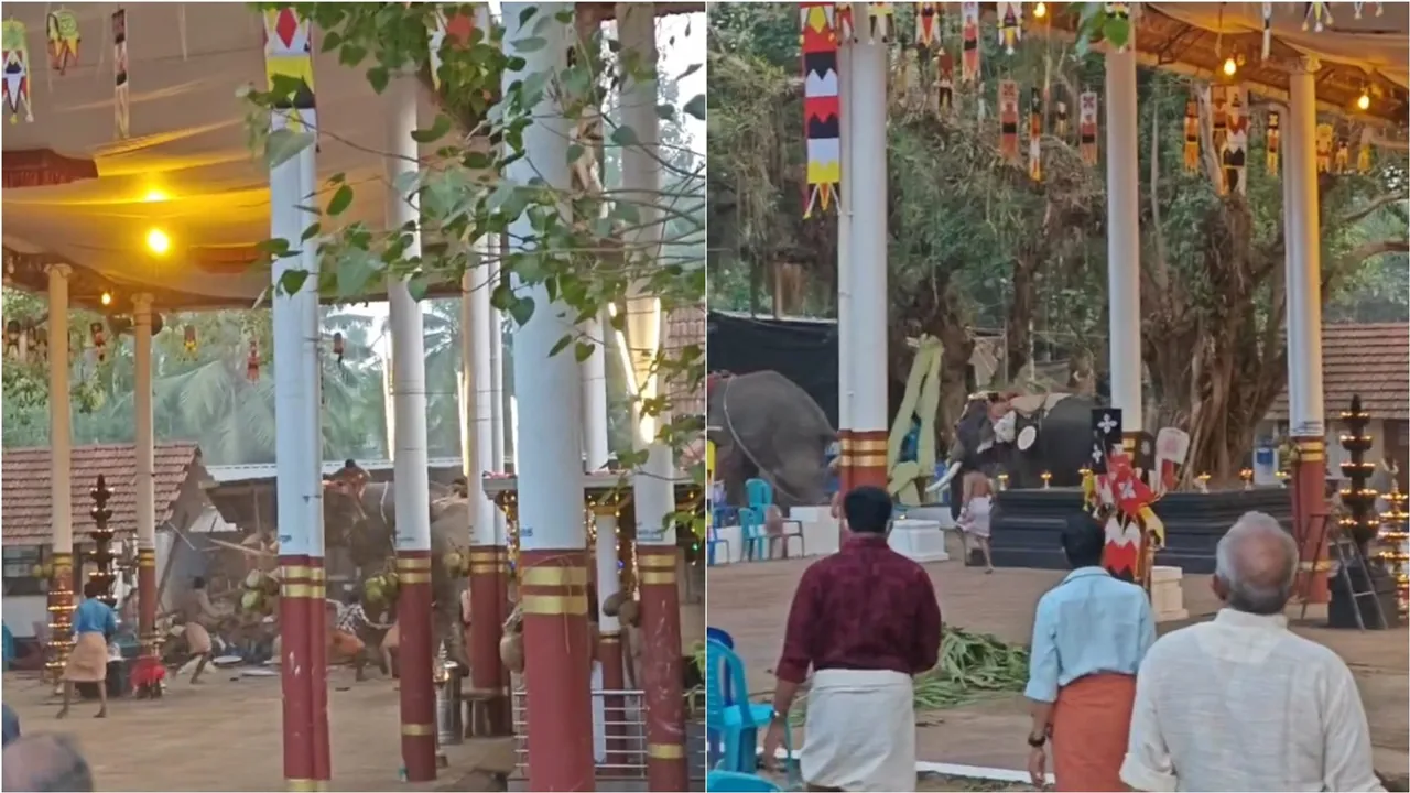 koyiladi new