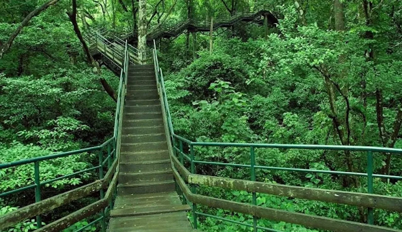 Top Hidden Tourist Spots In Kerala With Peace Atmosphere And Greenery