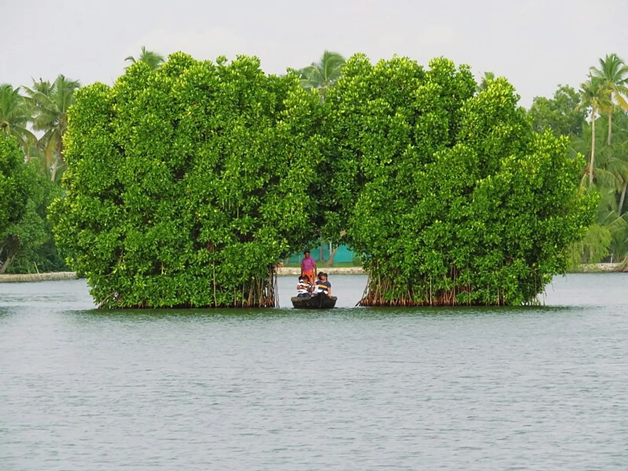 Munroe Island 