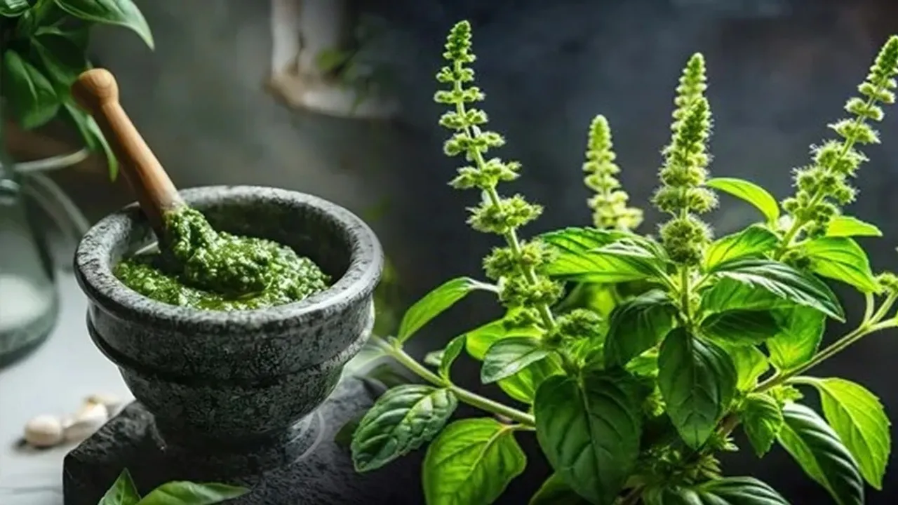 DIY Tulsi Hair Mask For Healthier And Stronger Hair