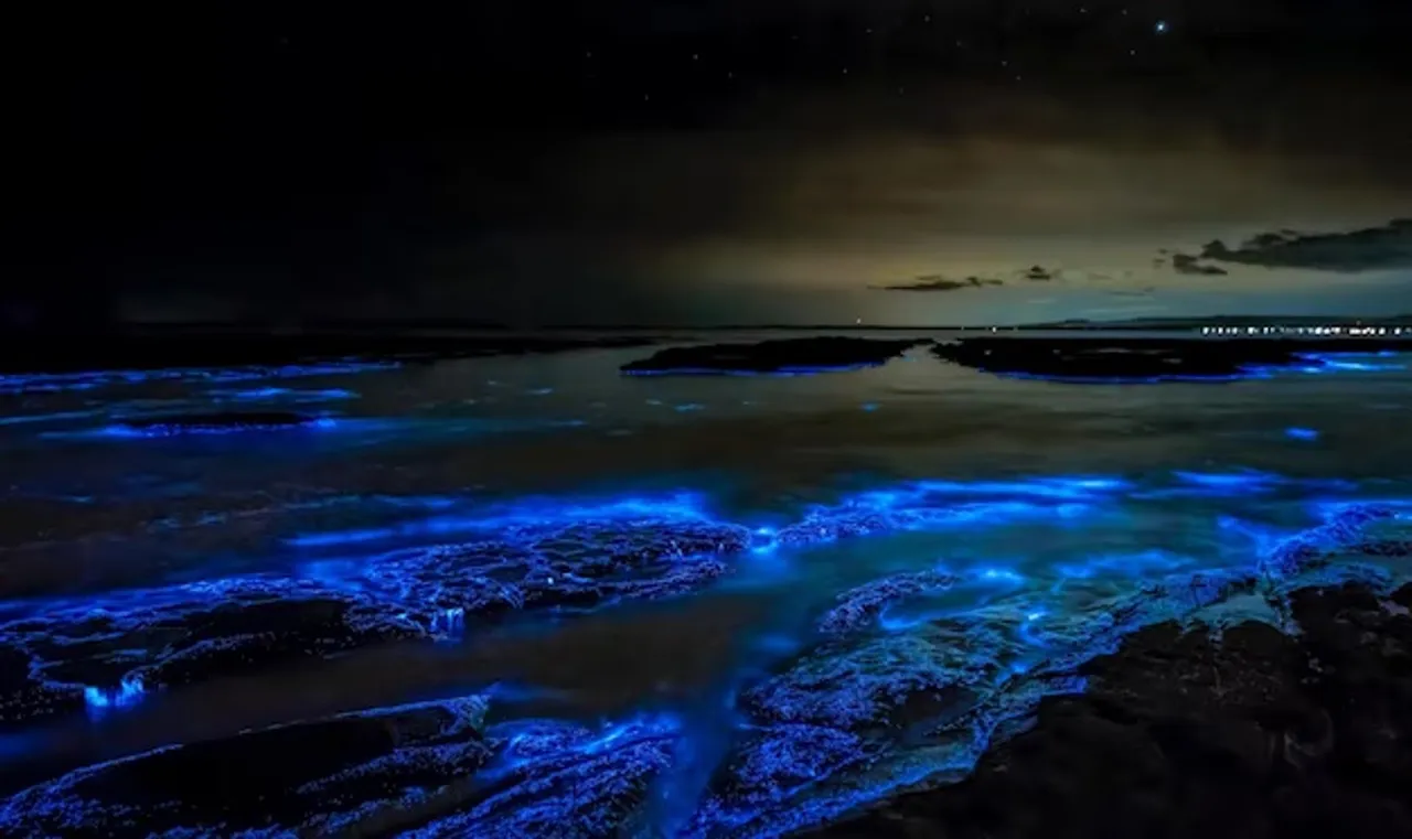 Bioluminescent Beaches  