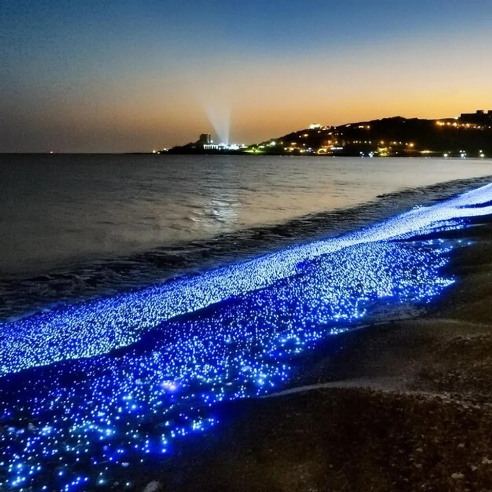 Bioluminescent Beaches  