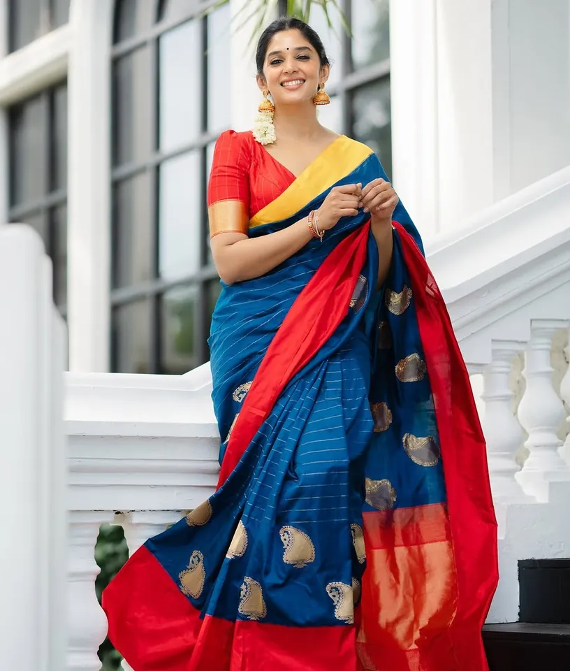 Nyla Usha Saree looks 