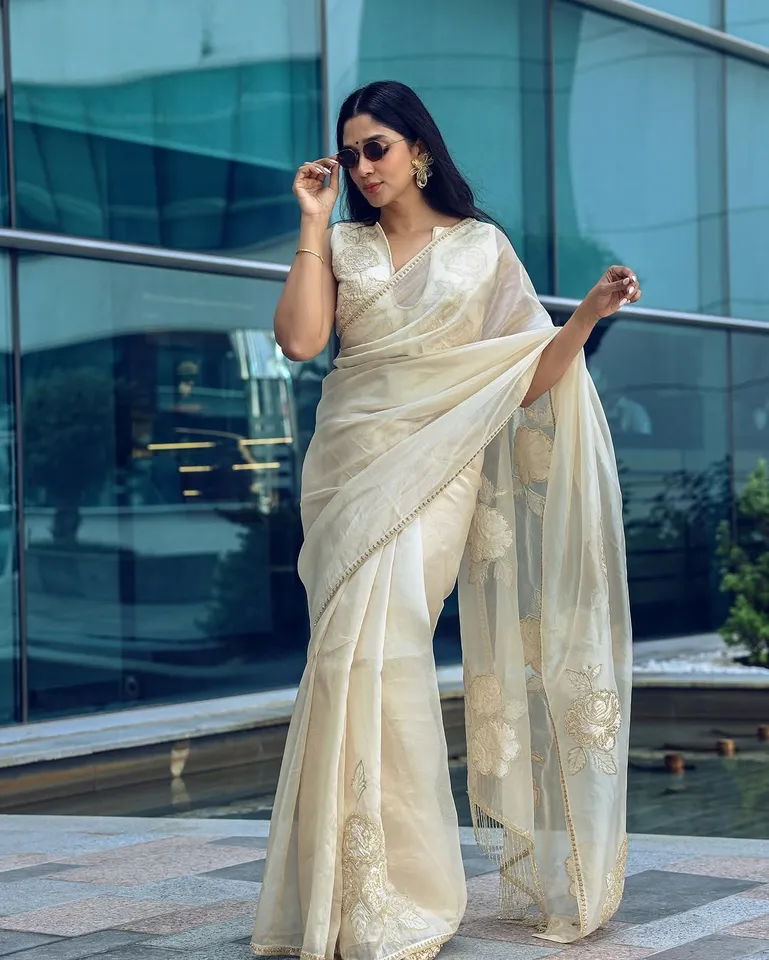 Nyla Usha Saree looks 