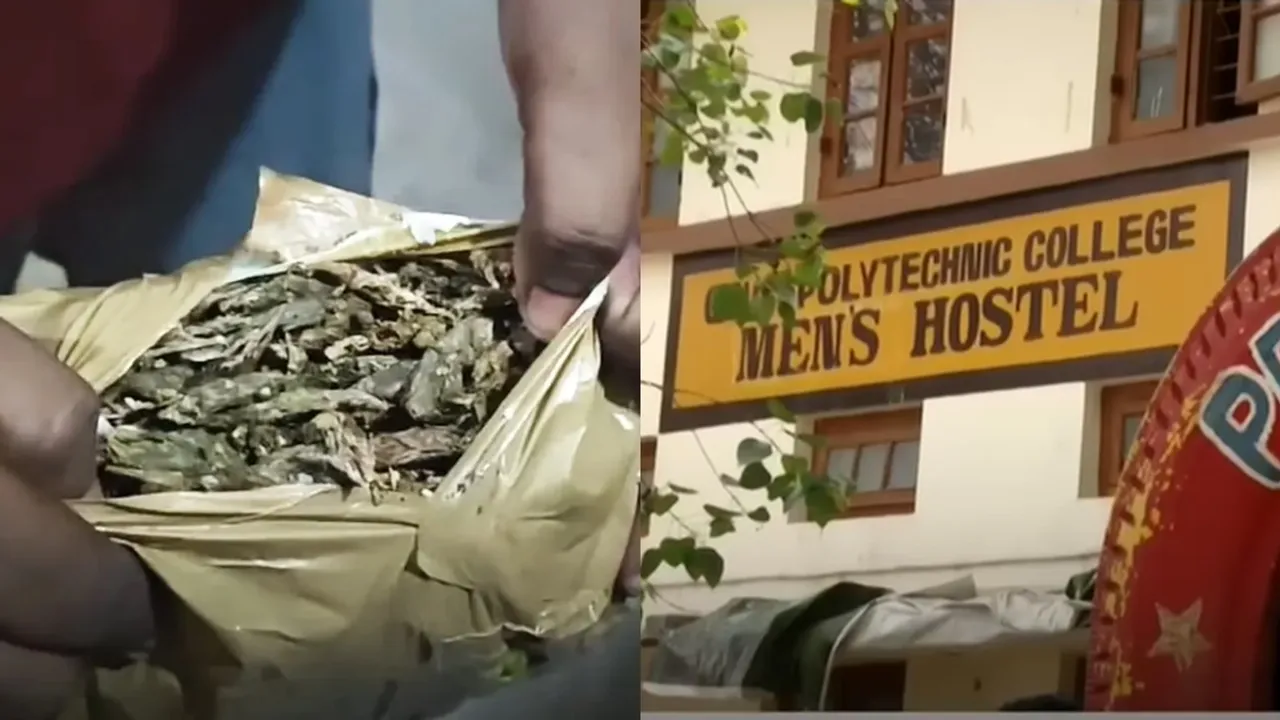 Kalamassery Marijuana Case