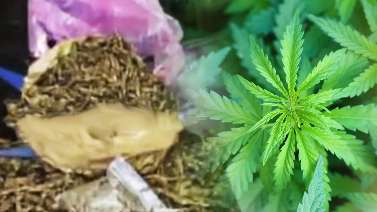 Ganja Case 