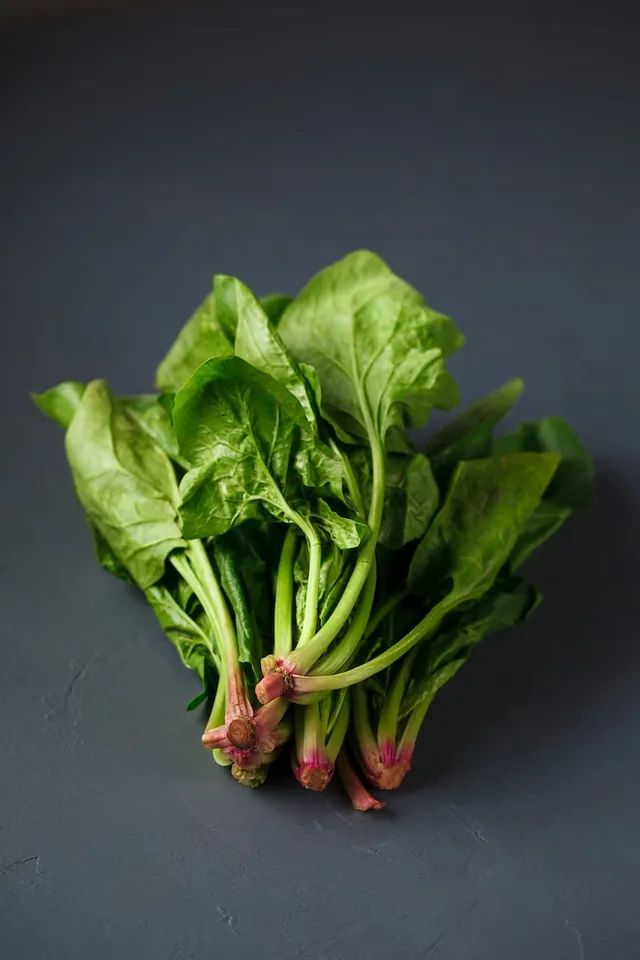Growing Palak Spinach 