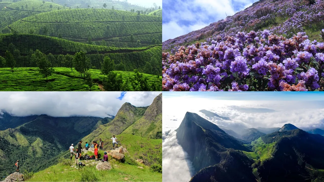 Munnar must visit places