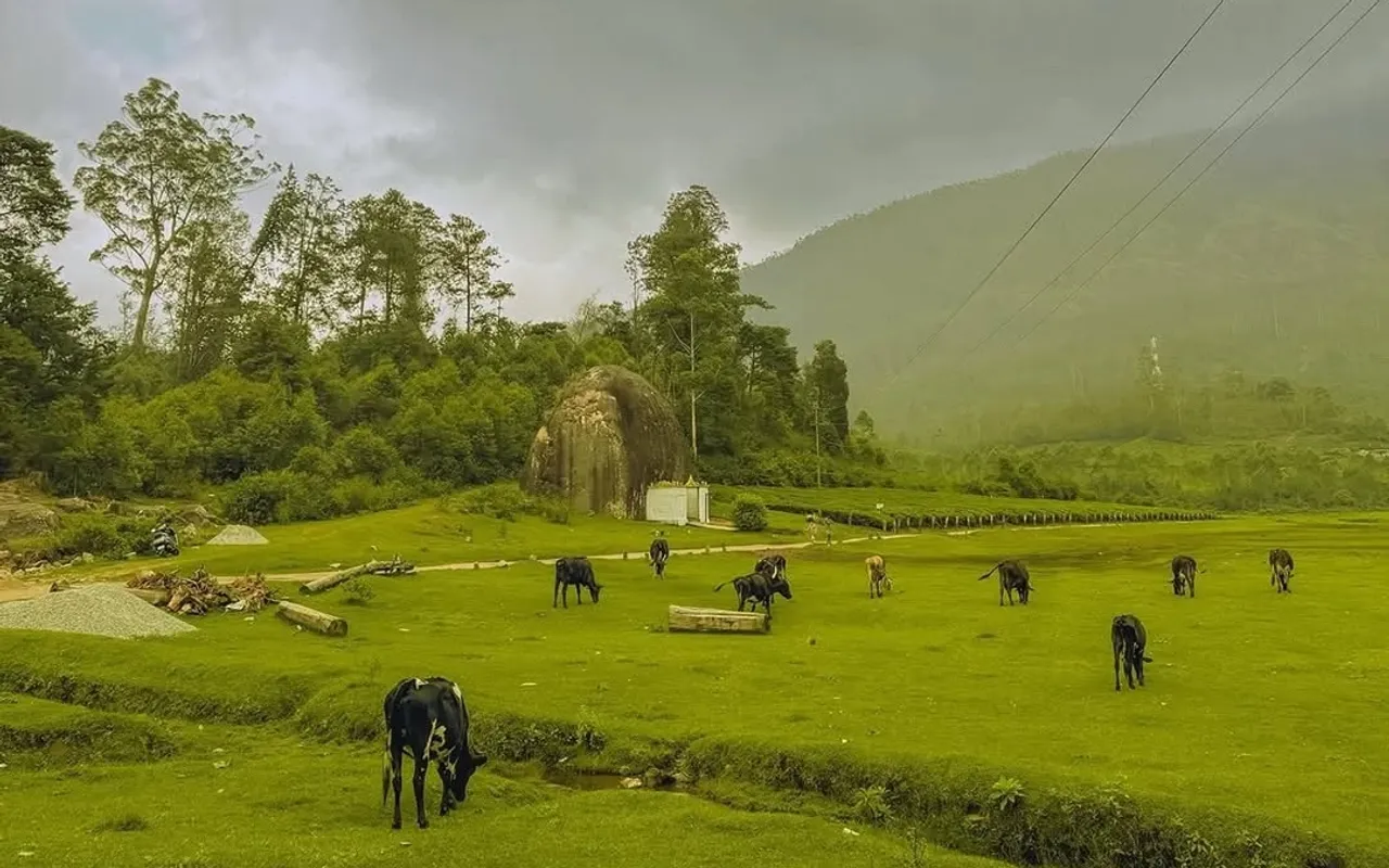 Munnar must visit places