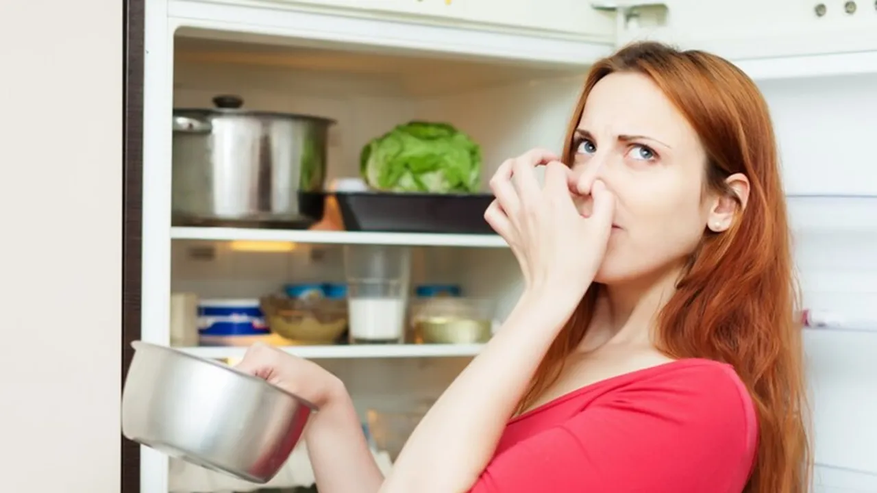 Fridge Storage ideas 