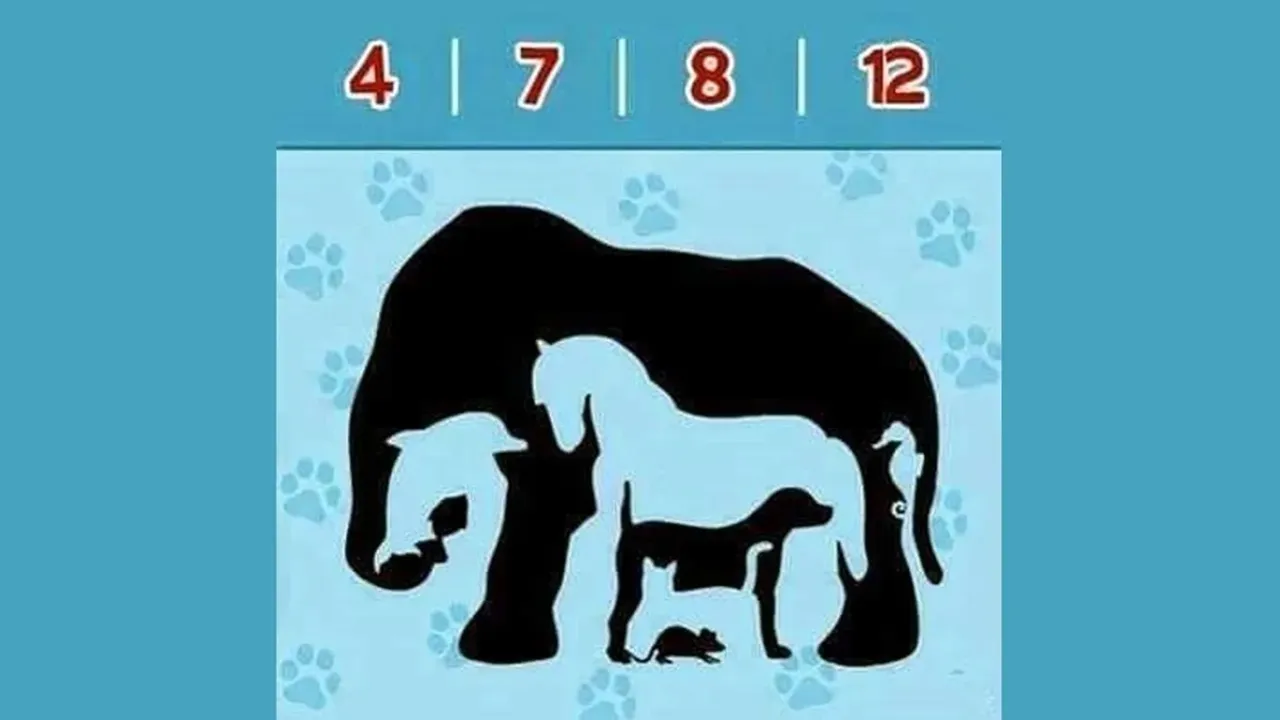 Optical Illusions challenge 