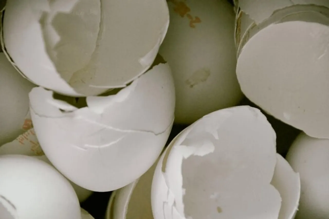 Tips To  Reuse Eggshell In Kitchen