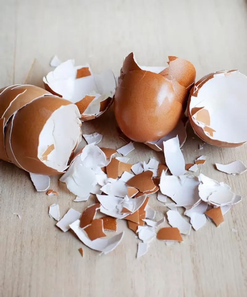 Tips To  Reuse Eggshell In Kitchen