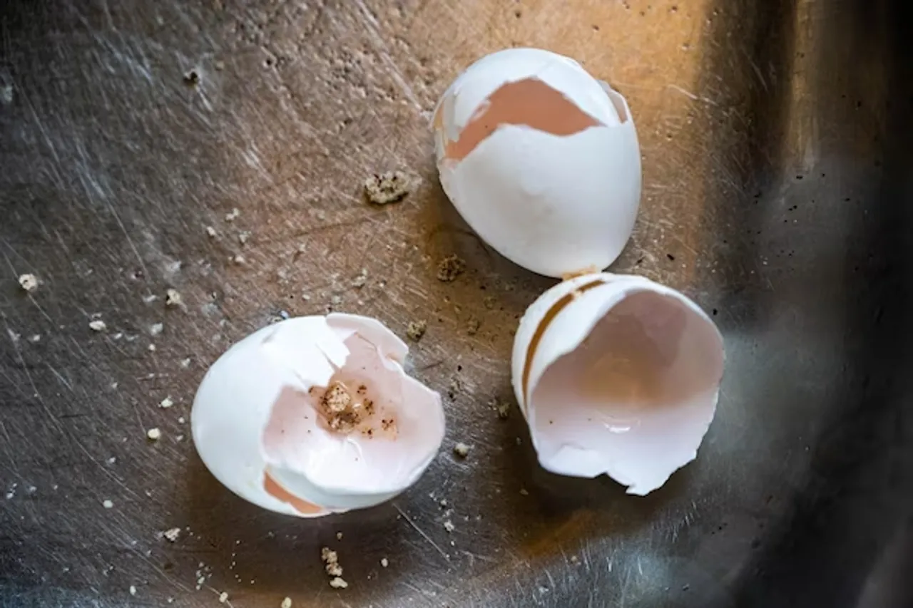 Tips To  Reuse Eggshell In Kitchen