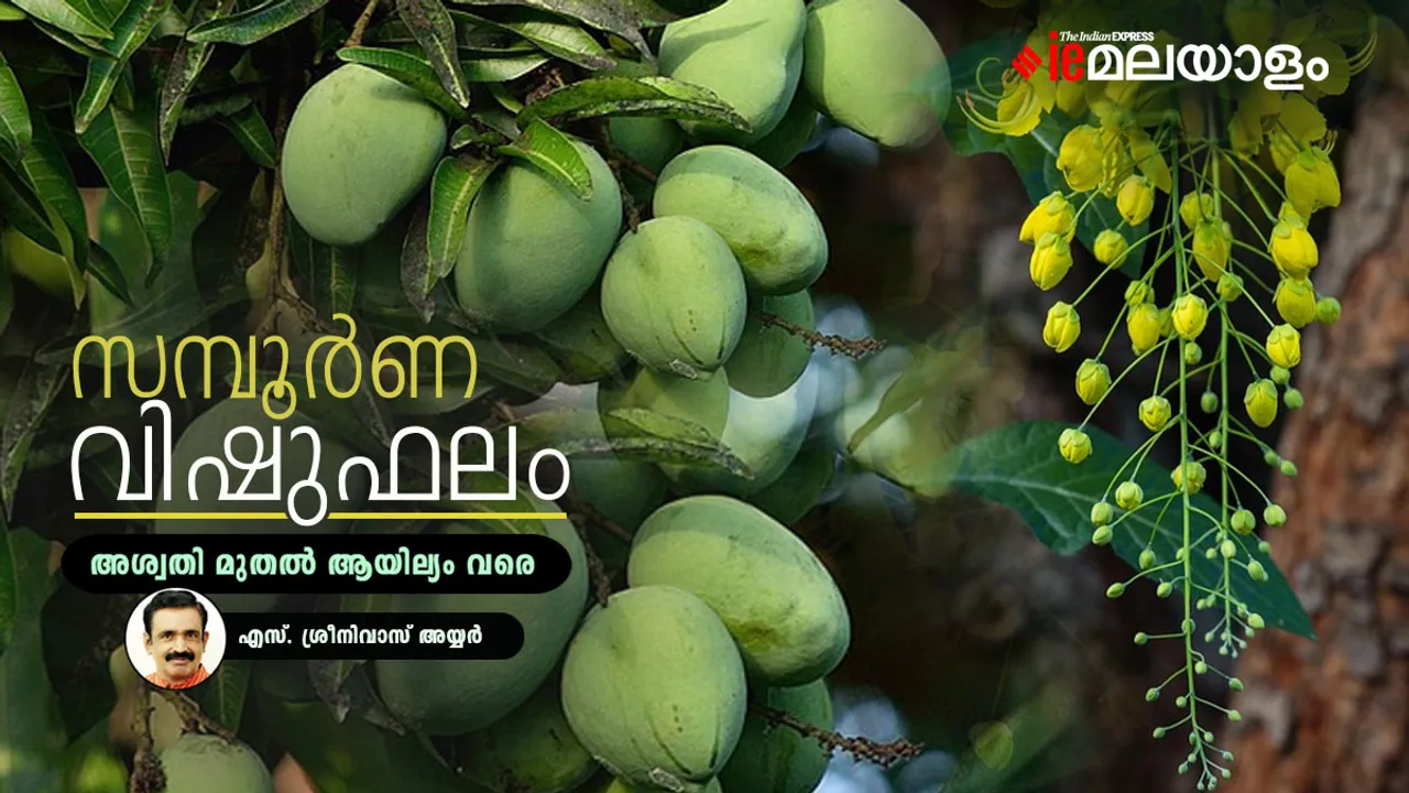 Vishuphalam