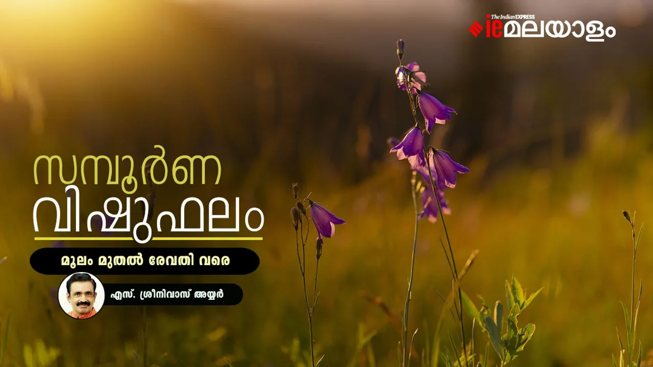 Vishuphalam