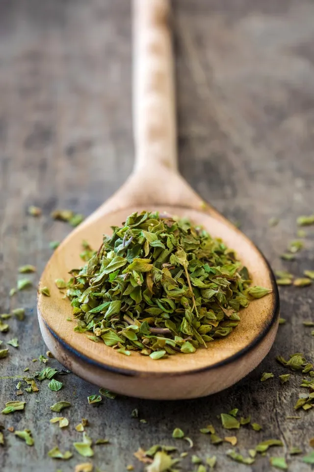 How To Grow Oregano At Home
