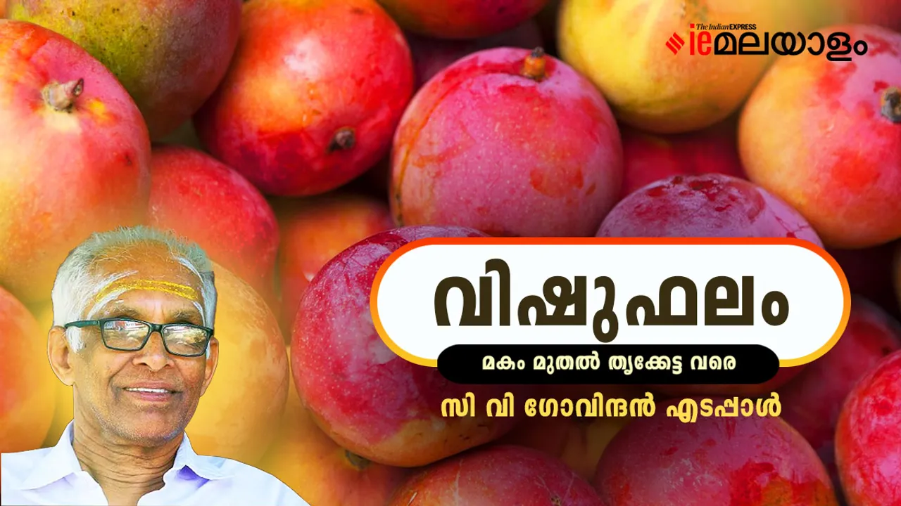 Vishu Phalam 2025