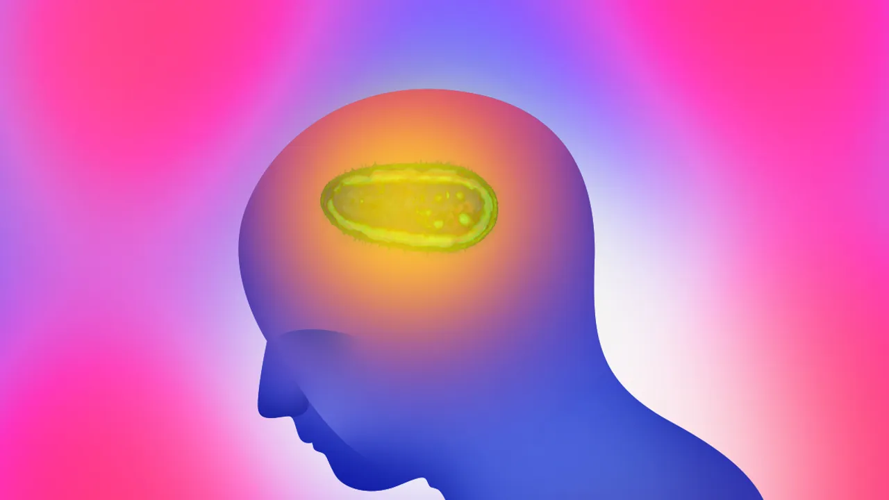 Amebic Meningoencephalitis