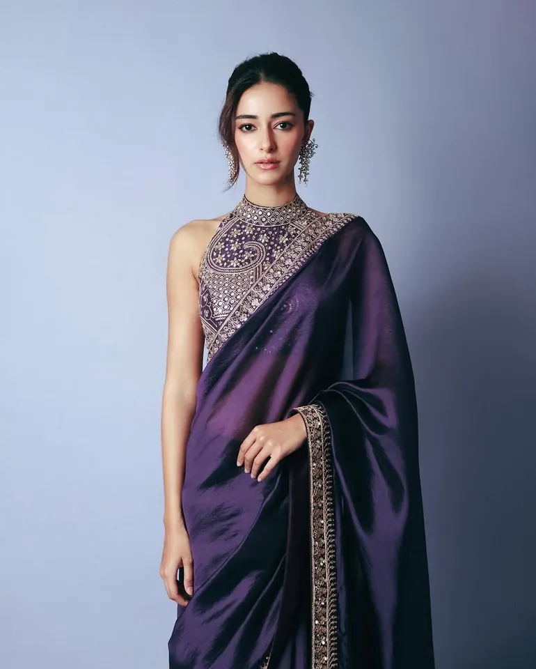 Glamorous Saree Look Of Ananya Panday 