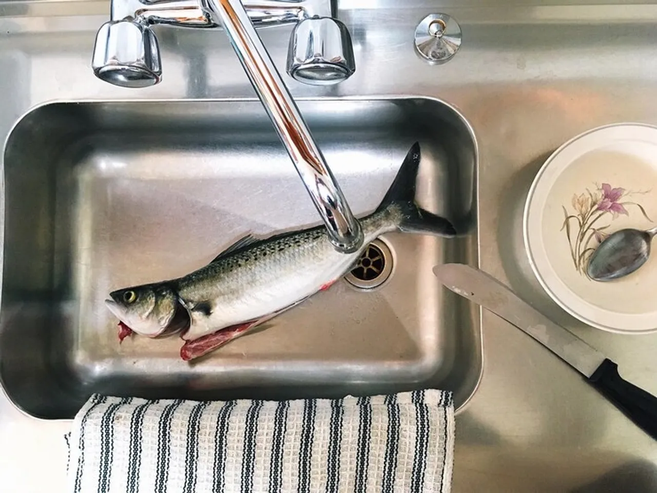Tips To Remove Fish Smell And Odour From Kitchen