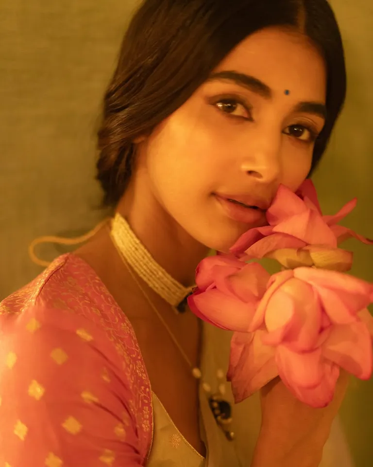 Pooja Hedge Saree Look