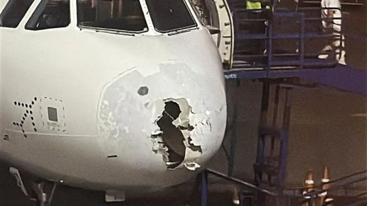 indigo111