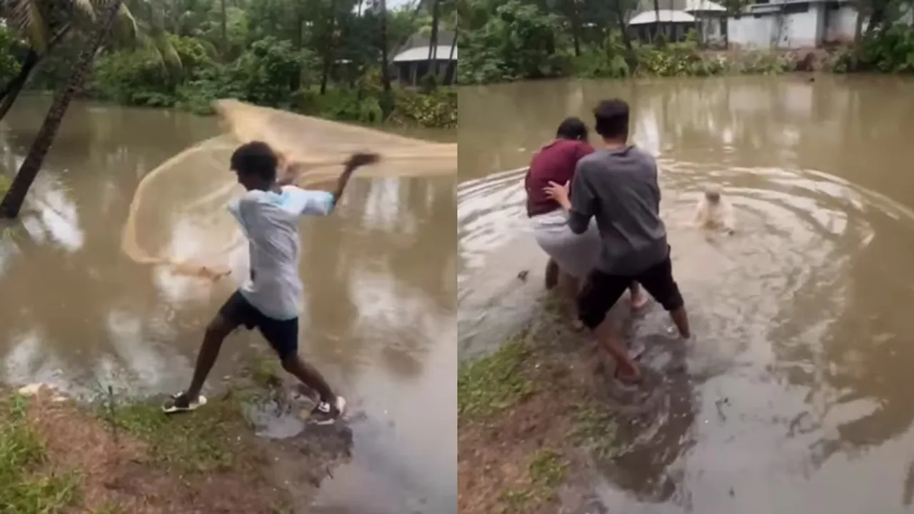 Kerala Fishing video