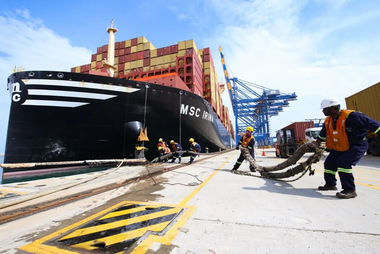 msc mareena