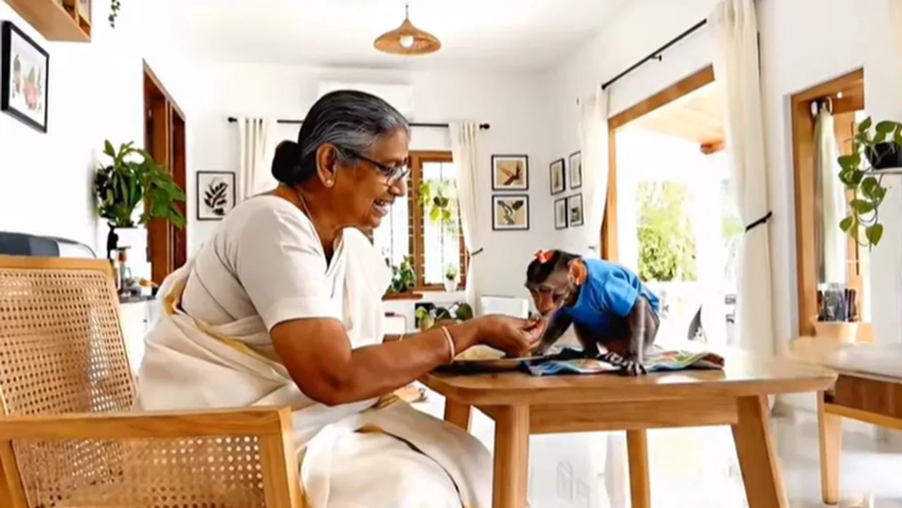 Monkey Viral AI Video
