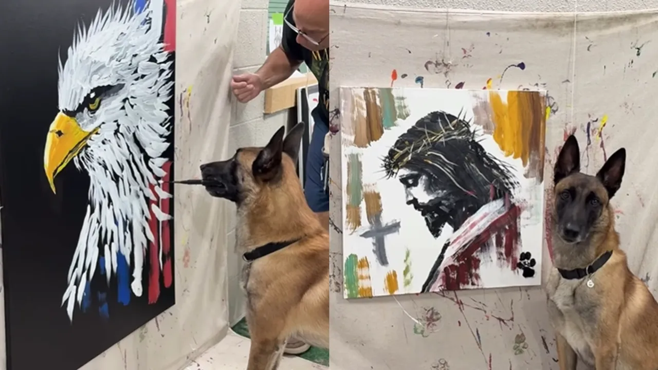 Belgian Malinois dog Monkey paints