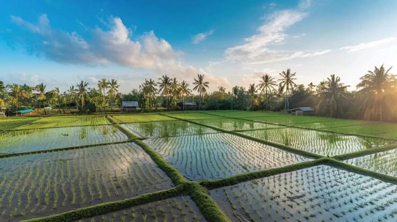 Midhunam, horoscope