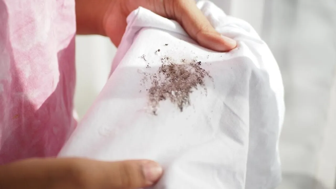 Tips To Remove Mould And Stain From Clothes FI