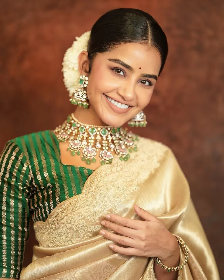 Anupama Parameswaran Saree 3