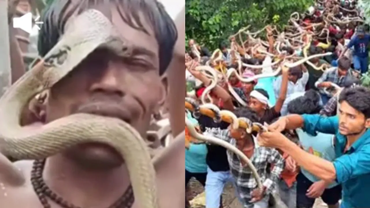 Bihar Nag Panchami Ritual