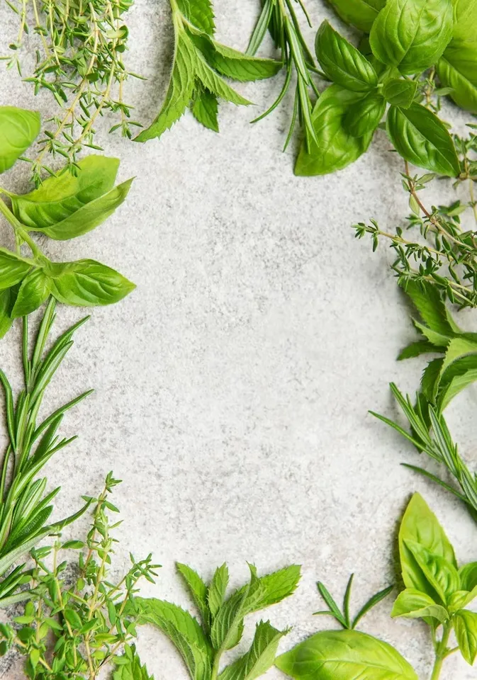 Easy Ways to Make Your Home Smell Fresh 5