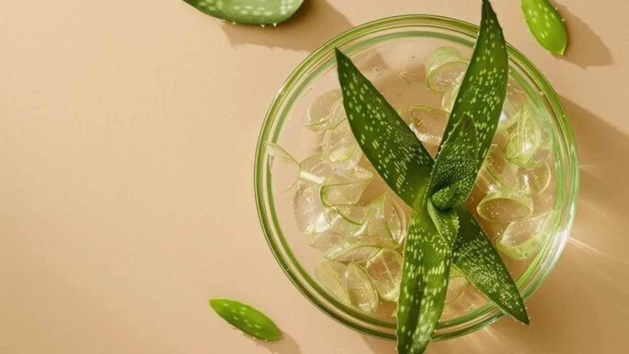 Homemade Herbal Remedies For Hair thinning 1