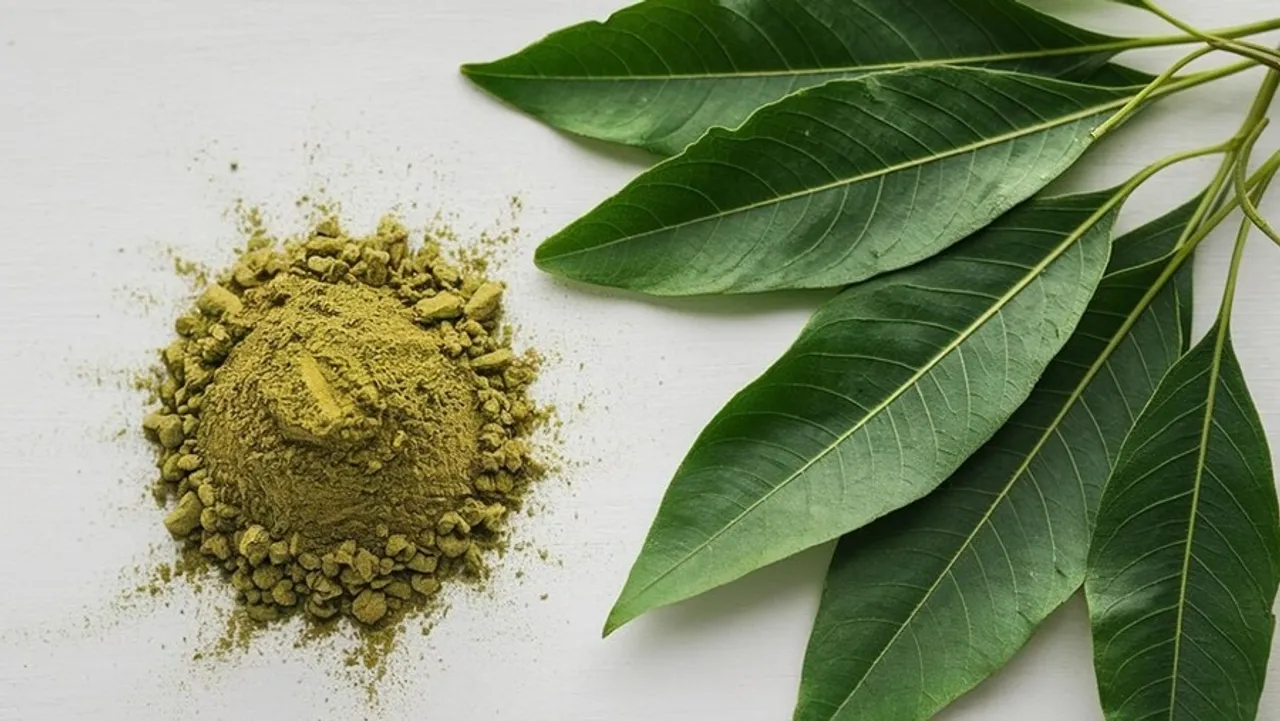 Herbal Hair Dye With Curryleaves 1