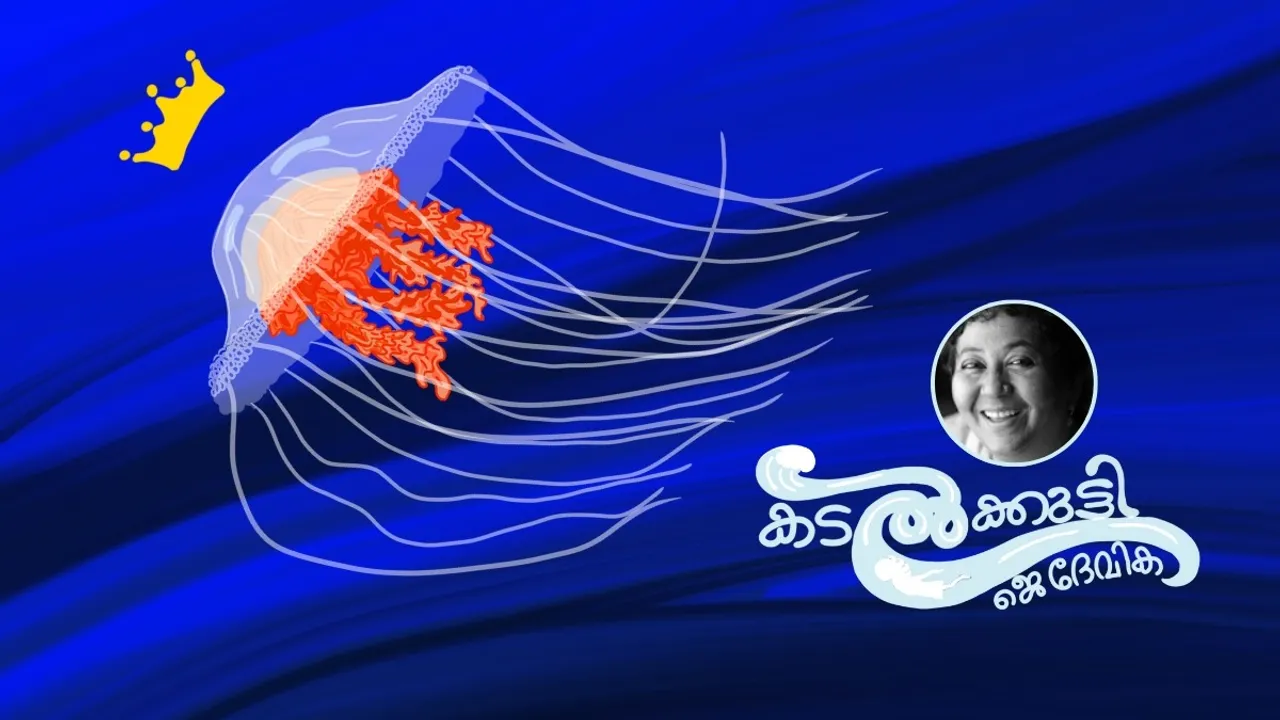 J Devika Kadalkutty Chapter 16 FI