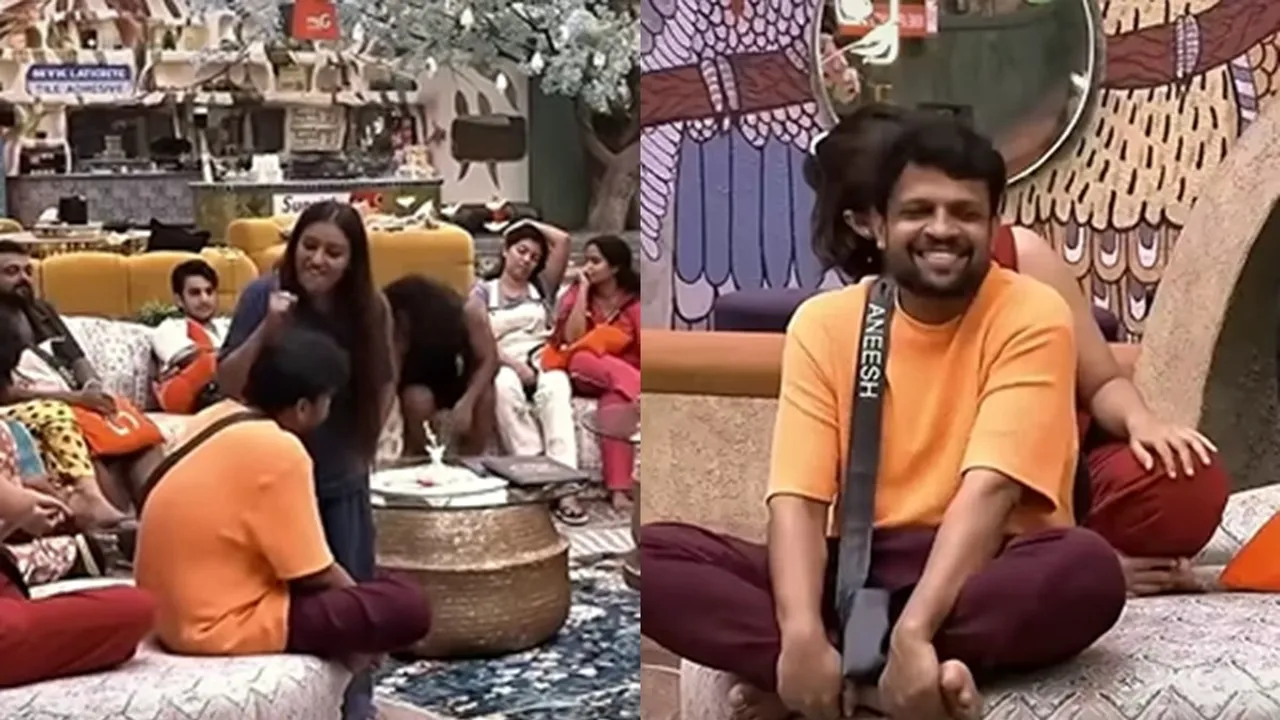 Bigg Boss Malayalam Season 7 Anumol and Aneesh