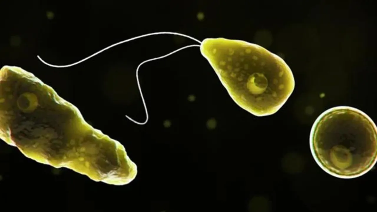 amoebic