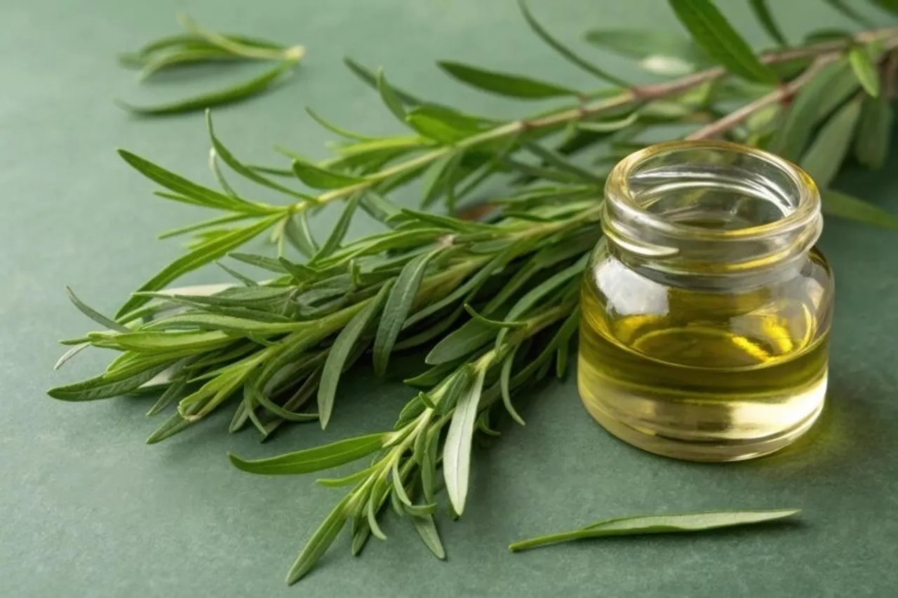 Herbal Tips To Get Dark And Thick Eyebrow 5